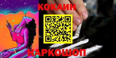 крисы Новодвинск