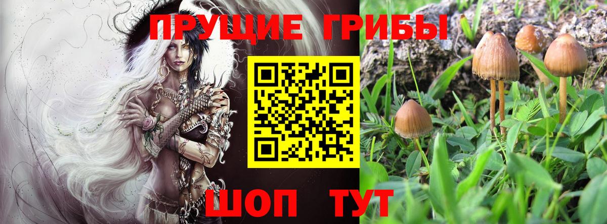 Псилоцибиновые грибы Magic Shrooms Семёнов